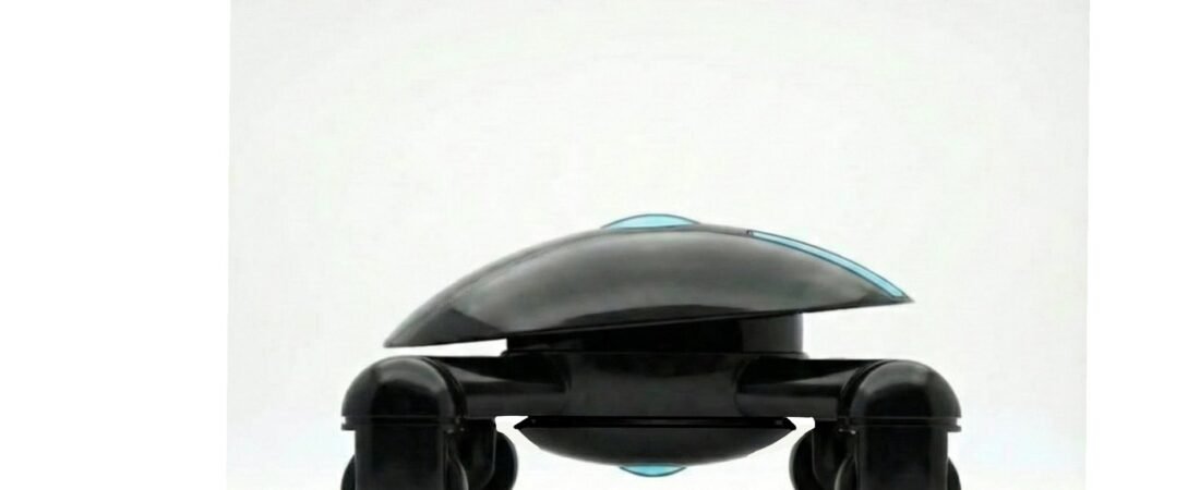 THE SR-X: ANATOMY OF A NEW SPECIES